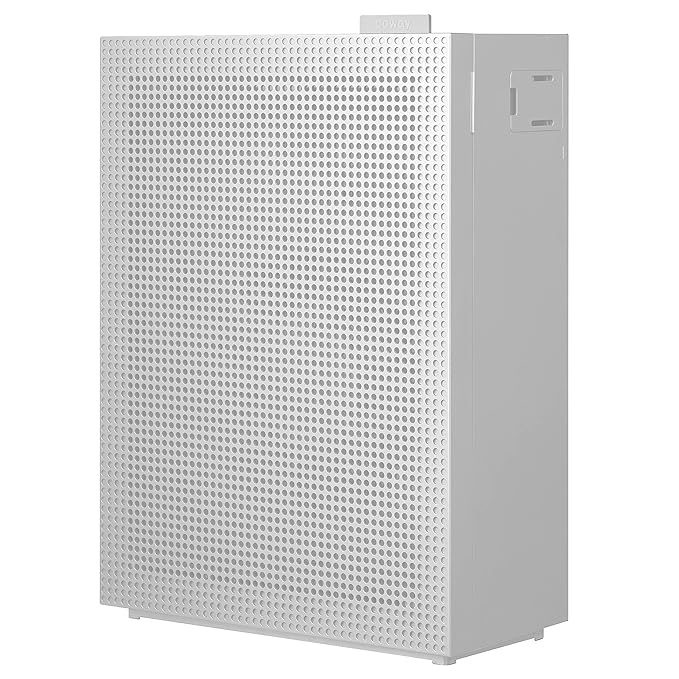 Latest Deal On Coway Airmega 150 (Ap-1019C) Air Purifier For Home - Dealsified