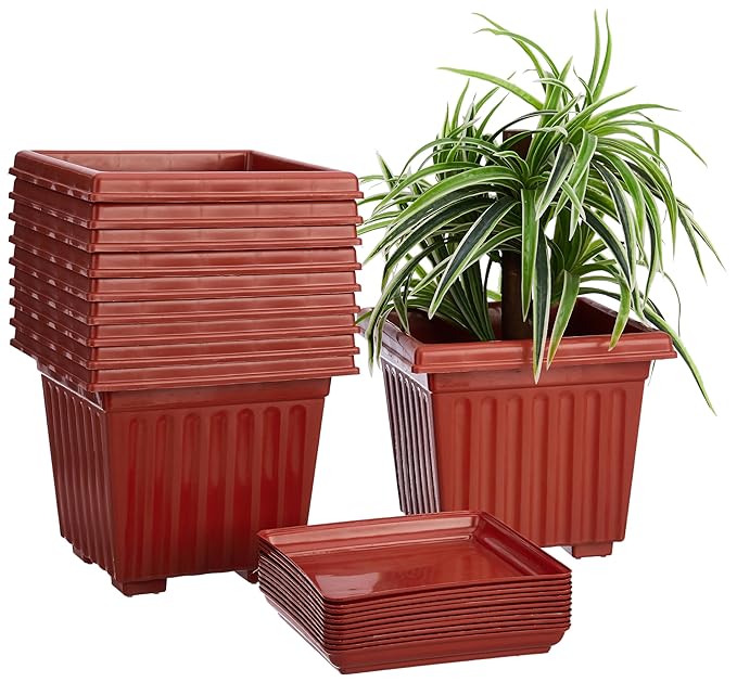 Latest Deal On Amazon Brand - Solimo Square Pots for Plants with Bottom Tray - Dealsified
