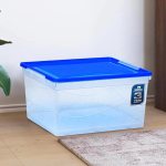 Nilkamal 50 Litre Multipurpose Storage Box with Lid and Handles for Clothes