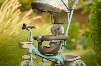 Lifelong Kids Parental Control Tricycle
