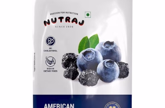 Nutraj American Blueberry Dried Whole 150g Pouch Pack of 1