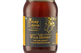 Honey and Spice Pure Raw Wild Honey (500g) | NMR tested