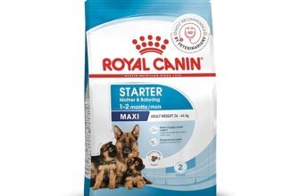 Royal Canin Maxi Starter, Mother & Babydog Food, Dry Food, 1 kg