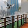 Amazon Brand – Solimo Bird and Pigeon Control Spikes – 20pcs