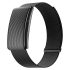 HAMMONDS FLYCATCHER Genuine Leather Belt for Men