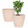 Eha Set of 2 Earth-Friendly Deco 7″ Self-Watering pots and Planters