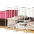 VEBETO Play Gym for Babies 0 to 12 Months (1 Year Warranty)