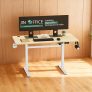 JIN OFFICE EcoSmart Electric Height Adjustable Desk